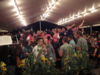 Wein- und Fischerfest Reichenau