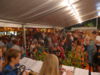 Wein- und Fischerfest Reichenau